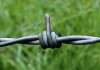 Barbed-wire.jpg