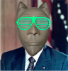 CatguyNix(on) Shades.png