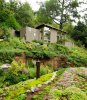 garden-front-yard-rustic-forest-house-design-with-beautiful-beautiful-front-yard-flower-gardens.jpg