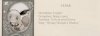 kintsugi yearbook - cedar.jpg