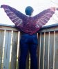 wingspan.jpg