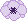 purple anemone.png