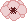 red anemone.png