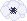 white anemone.png