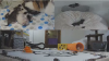 kittenacademy.png