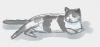 catblob.png