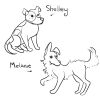 dogs uncolored.png