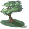 tree.png