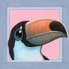 toucan smol.jpg