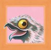 potoo smol.jpg