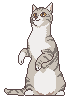 piccats1.png