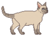 piccats2.png