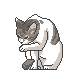 pixcaty.png