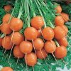 tonda-di-parigi-carrots.jpg