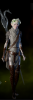 Dalish Scout Armor f.png