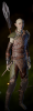 Dalish Scout Armor m.png