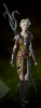 Dalish Warrior Armor f.png