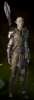 Dalish Warrior Armor m.png