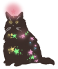 starcat.png