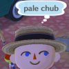 pale chub.jpeg