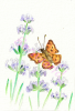 butterfly and lavender watermarked.png