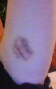 upload_2022-1-13_21-10-40.png