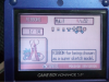 Meagens-Milotic-ribbons.png