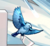 is this a pigeon.png