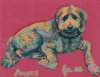 Angus for Mom's Birthday 2025 (25%).jpg