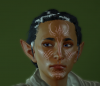 Raz Lavellan.png