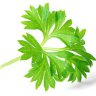 Parsley