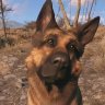 Dogmeat