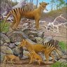 The Thylacine Army